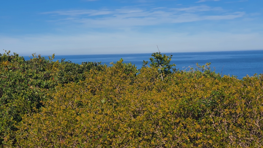 0 Bedroom Property for Sale in Pinnacle Point Golf Estate Western Cape